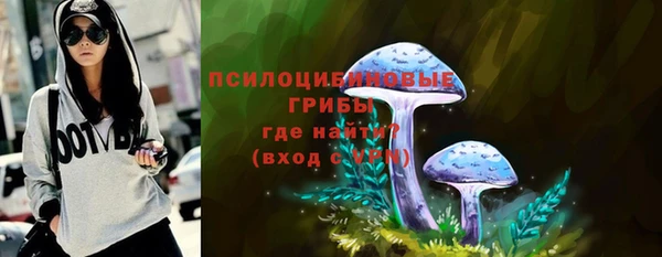 стаф Арсеньев