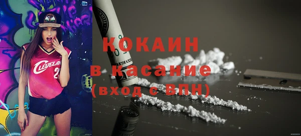 стаф Арсеньев