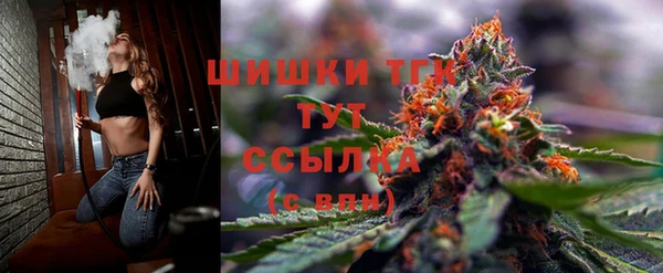 стаф Арсеньев
