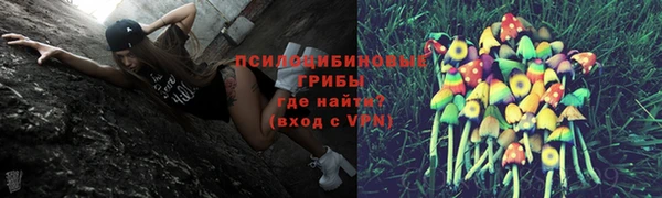 ALPHA-PVP Аркадак