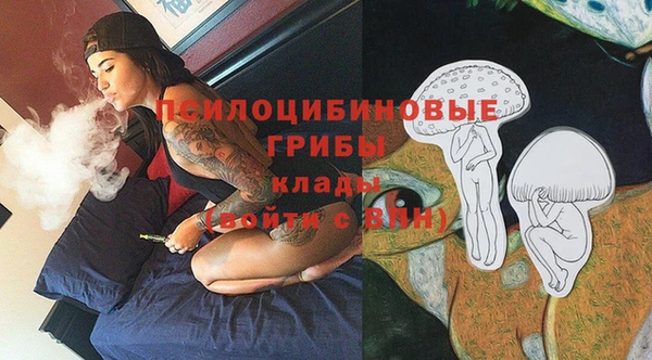стаф Арсеньев