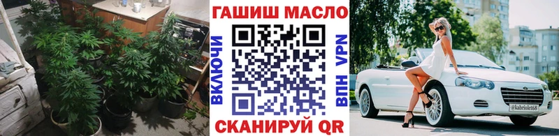 сколько стоит  Бакал  ТГК Wax 