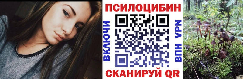 Псилоцибиновые грибы MAGIC MUSHROOMS  закладка  Бакал 
