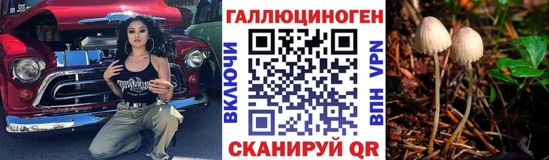 Псилоцибиновые грибы Psilocybe Бакал